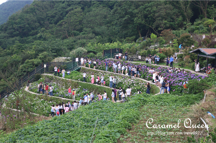 部落格照片後製-大梯田生態休閒農園-02.jpg