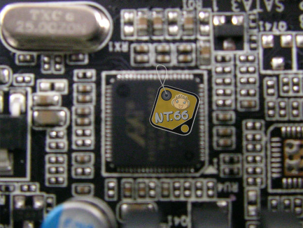 z6805.jpg