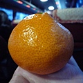 小橘子~