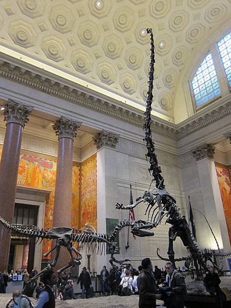 01AMNH.jpg 01AMNH.jpg