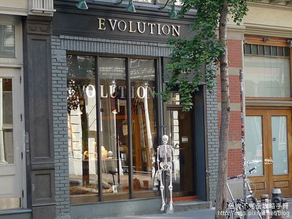 evolution01.jpg evolution01.jpg