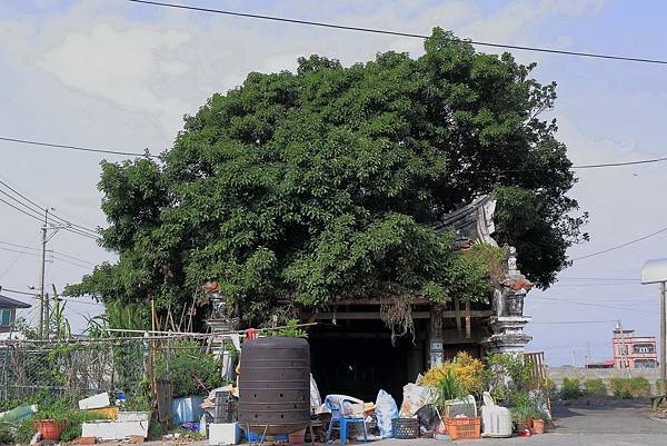 東石鄉後埔福安宮土沉香4.JPG