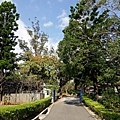 角板山公園3.JPG