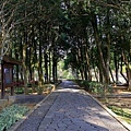 角板山公園13.JPG