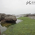 春天的海溝