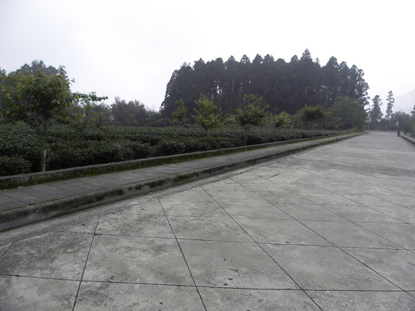 SDC10749_縮小大小.JPG