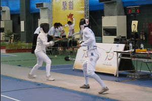 9713_fencing.jpg 9713_fencing.jpg