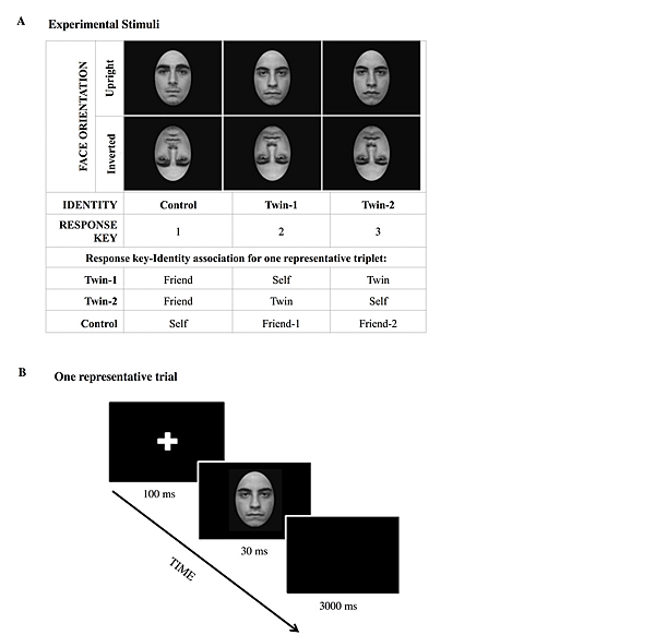圖一(圖片來源:Martini M. et al., 2015.).png 圖一(圖片來源:Martini M. et al., 2015.).png