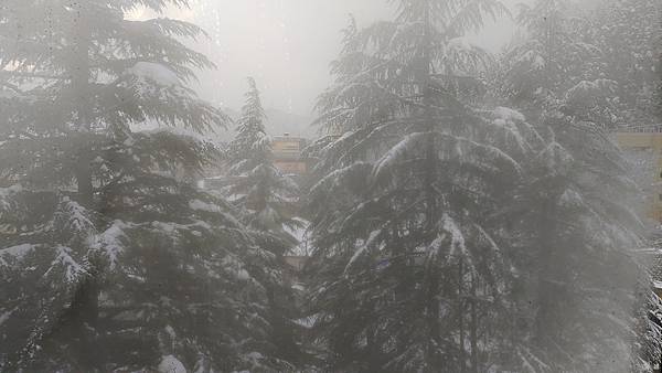 20200202越後湯澤 20200202越後湯澤