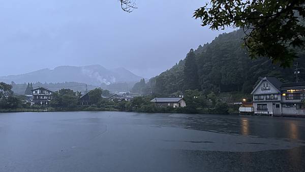 金鱗湖清晨-1 金鱗湖清晨-1