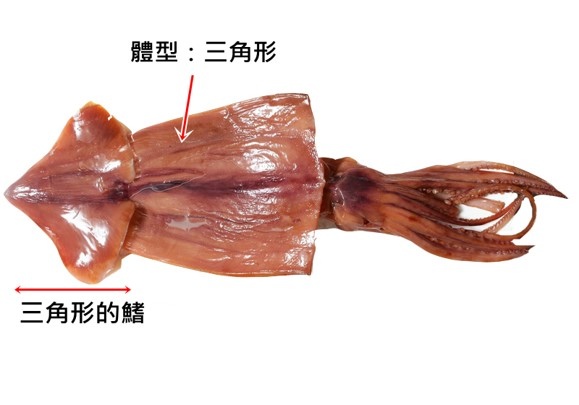 圖片2.png.jpg