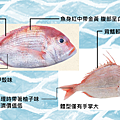 分.png