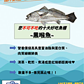 截圖 2021-07-05 下午12.04.58.png