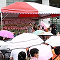 IMG_9649.JPG