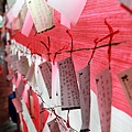 IMG_9984.JPG