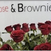 rose & brownie1.jpg