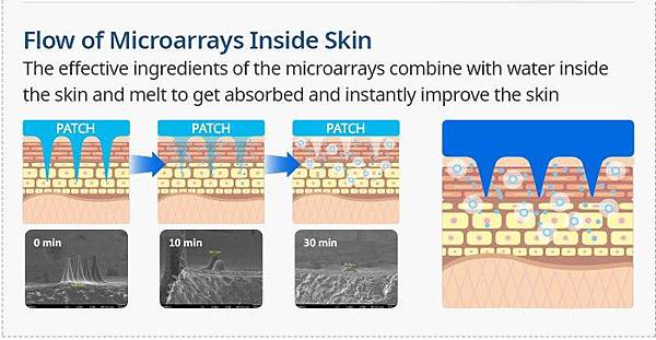 acropass_03-1 (1).jpg