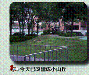 18-昔日花棚已改為小丘.gif