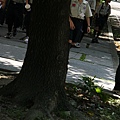 20080907童軍相見歡團集會 050.JPG