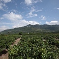 fairtrade-7.jpg