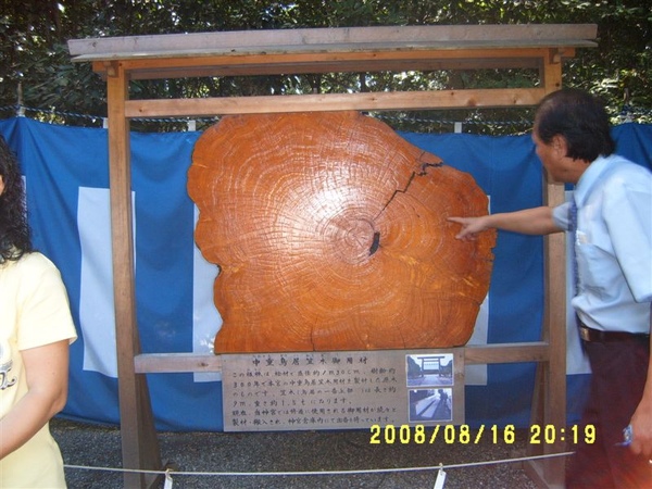 鳥居使用的木材介紹