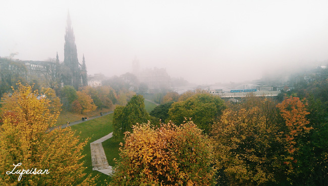 2015-11-12 06.13.24 1.jpg