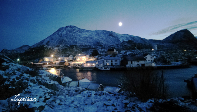 IMAG5405.jpg IMAG5405.jpg