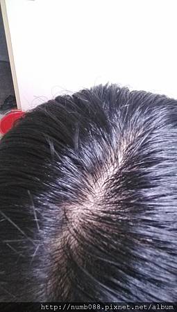 IMG_20161001_220158.jpg 試用