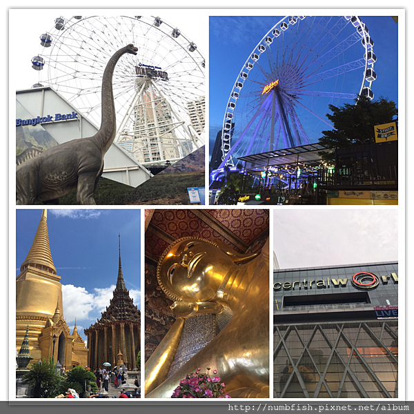 IMG_7829.PNG IMG_7829.PNG