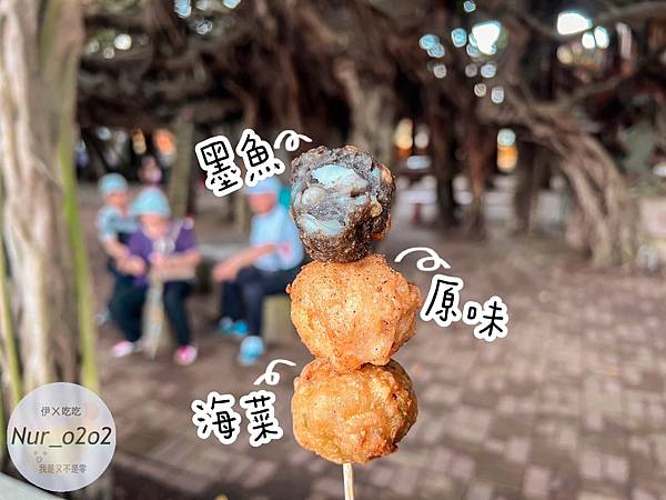 〔澎湖〕阿姨仙人掌冰-花枝丸三兄弟 *素食可吃 *👍🏻 〔澎湖〕阿姨仙人掌冰-花枝丸三兄弟 *素食可吃 *👍🏻