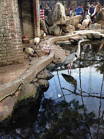 IMG_4829.jpg IMG_4829.jpg