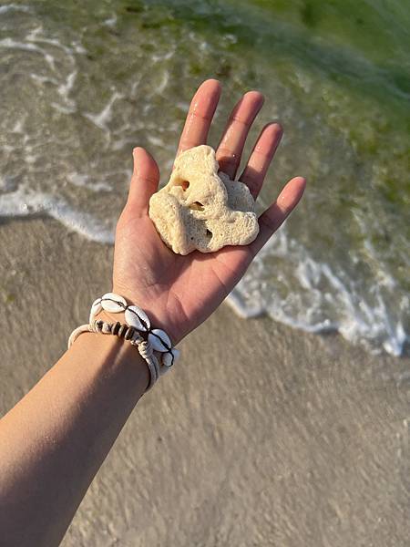 來宿霧媽媽島尋找全世界最美的鯊魚！長尾鯊