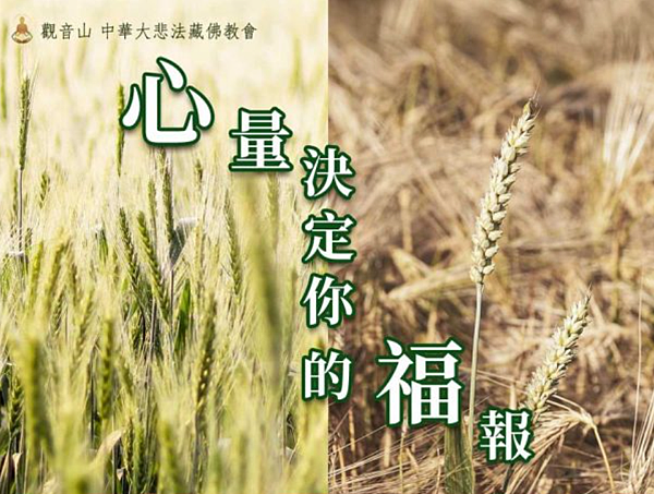 如何知道自己有沒有福報?增加福報方法有哪些?.png 如何知道自己有沒有福報?增加福報方法有哪些?.png