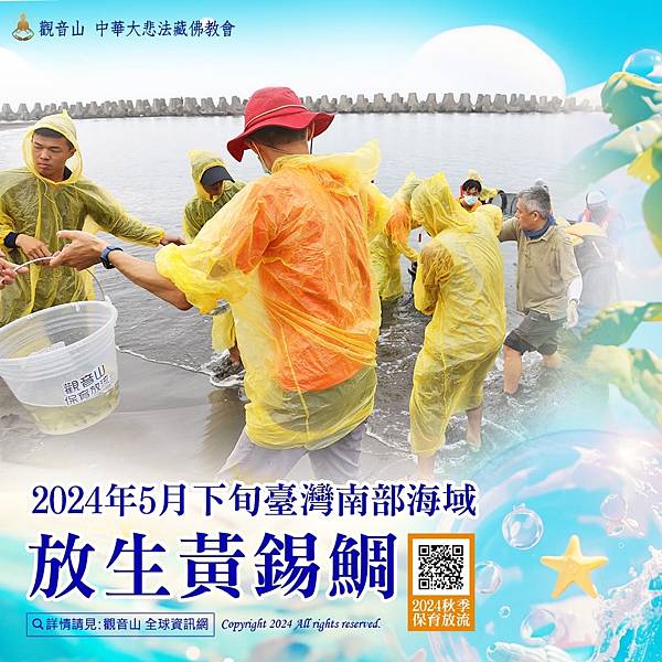 如何「放」生改變命運?為什麼放生改變命運立竿見影?現代放生改 如何「放」生改變命運?為什麼放生改變命運立竿見影?現代放生改