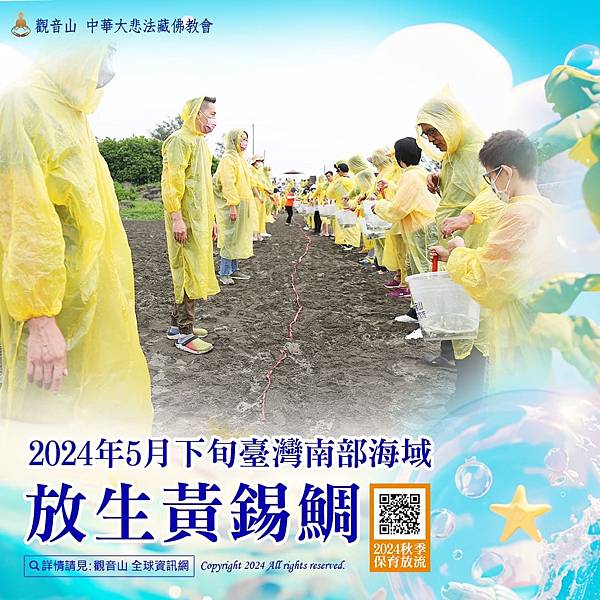 如何「放」生改變命運?為什麼放生改變命運立竿見影?現代放生改 如何「放」生改變命運?為什麼放生改變命運立竿見影?現代放生改