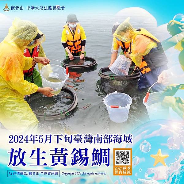 如何「放」生改變命運?為什麼放生改變命運立竿見影?現代放生改 如何「放」生改變命運?為什麼放生改變命運立竿見影?現代放生改