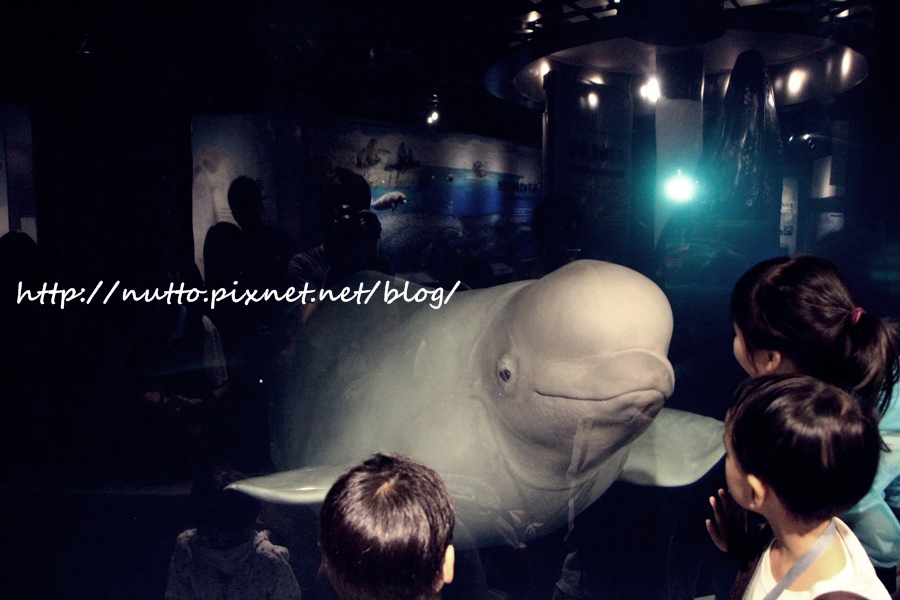 blog_01.JPG blog_01.JPG