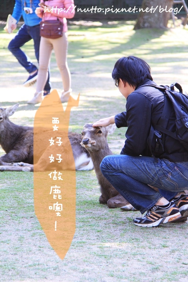 Nara_35.JPG Nara_35.JPG