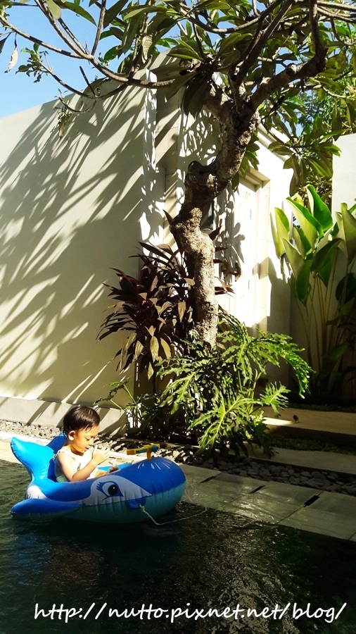 bali_1_01.jpg bali_1_01.jpg