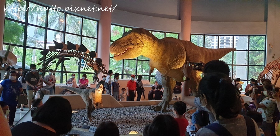 84M_26.jpg 84M_26.jpg