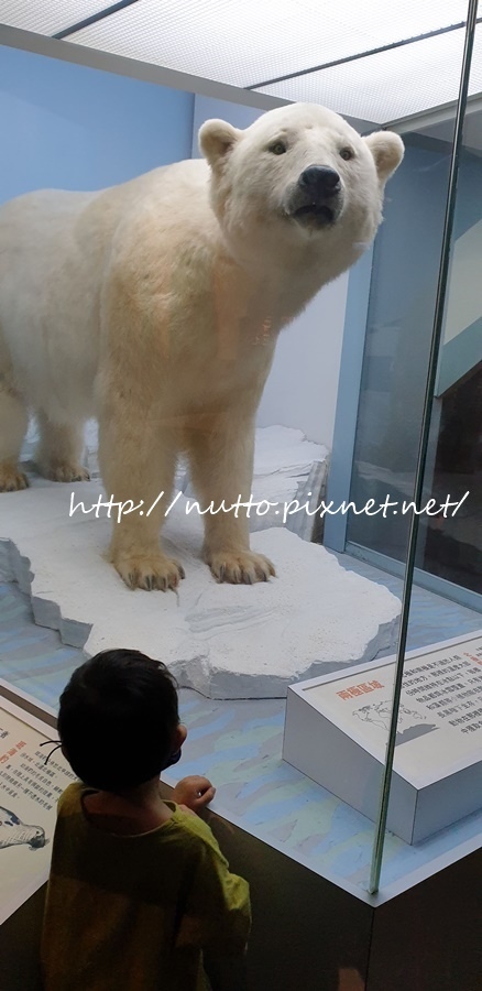 84M_28.jpg 84M_28.jpg