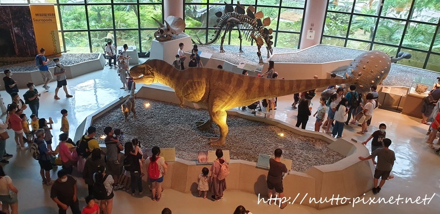 84M_27.jpg 84M_27.jpg