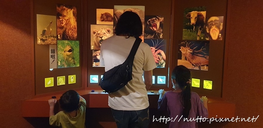 84M_30.jpg 84M_30.jpg