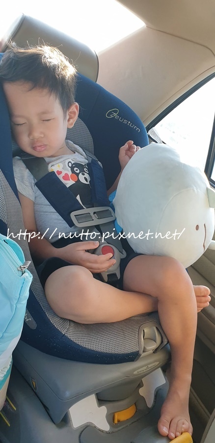 84M_36.jpg 84M_36.jpg