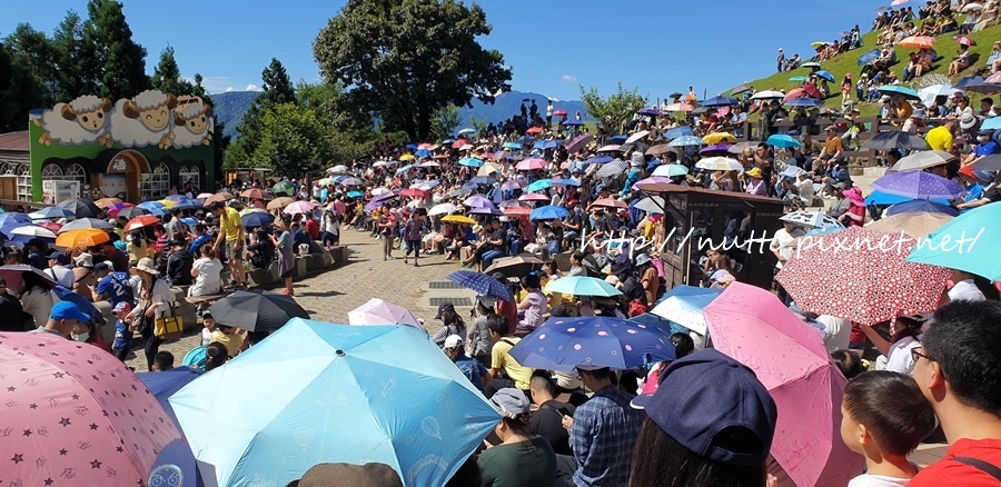 84M_43.jpg 84M_43.jpg