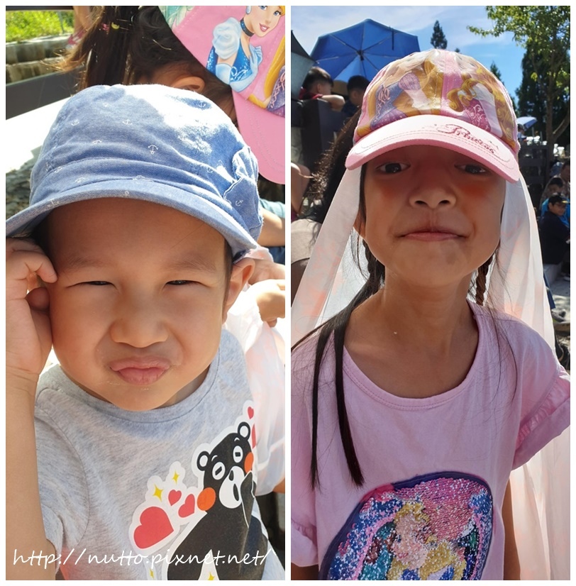 84M_41.jpg 84M_41.jpg