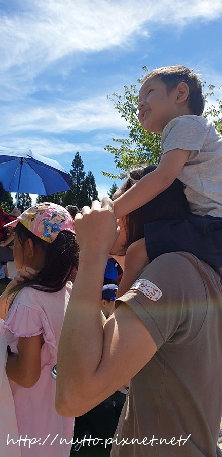 84M_44.jpg 84M_44.jpg