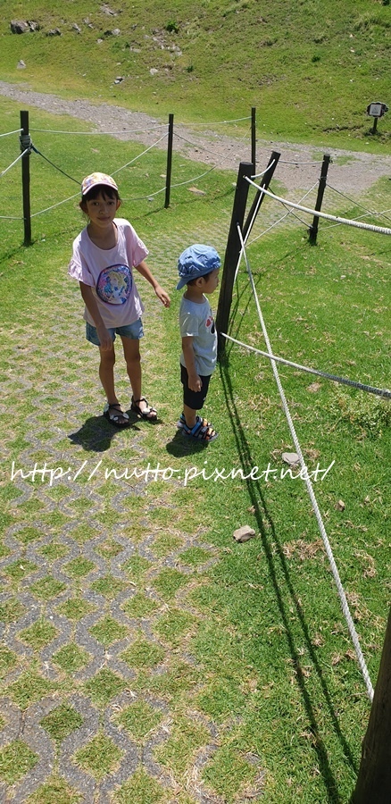 84M_49.jpg 84M_49.jpg