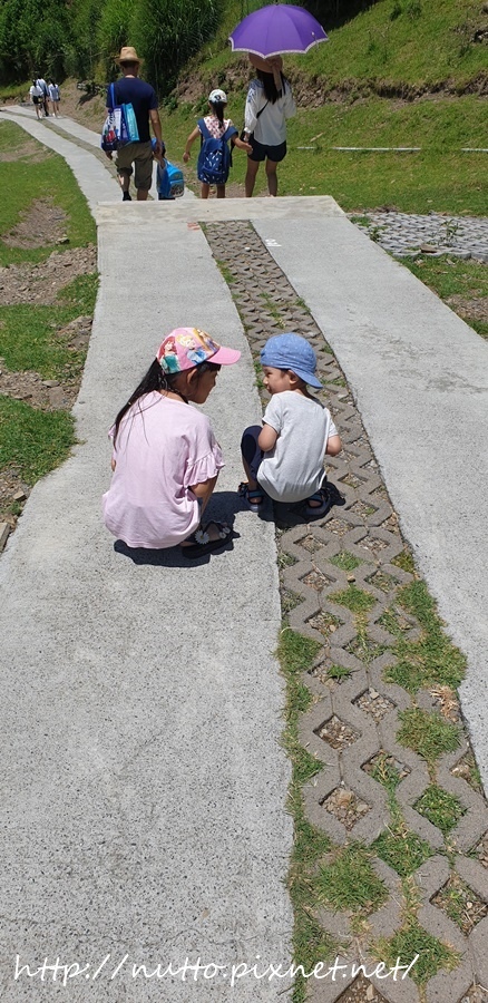 84M_50.jpg 84M_50.jpg