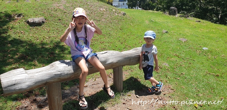 84M_47.jpg 84M_47.jpg